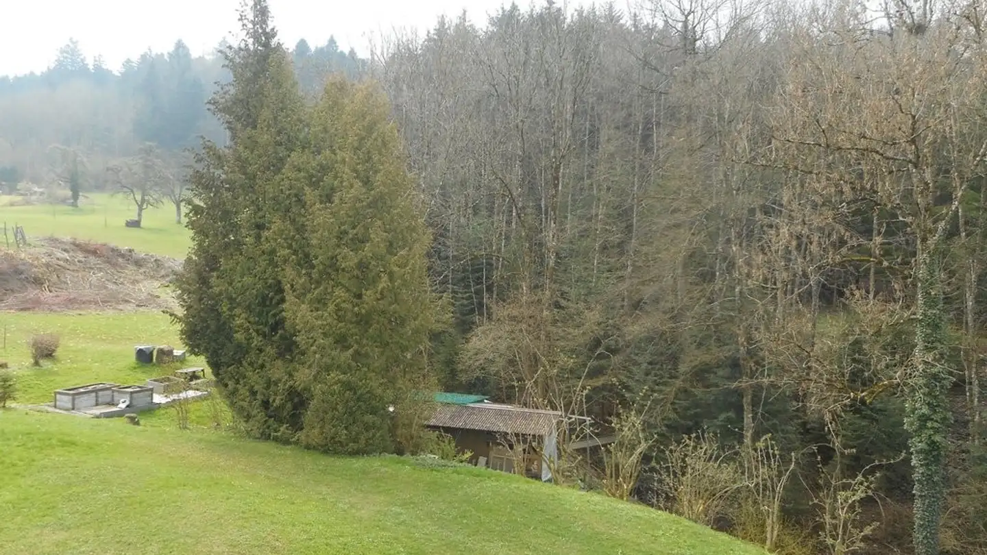 Wohnung mieten - Höhenstrasse 6, 9300 Wittenbach