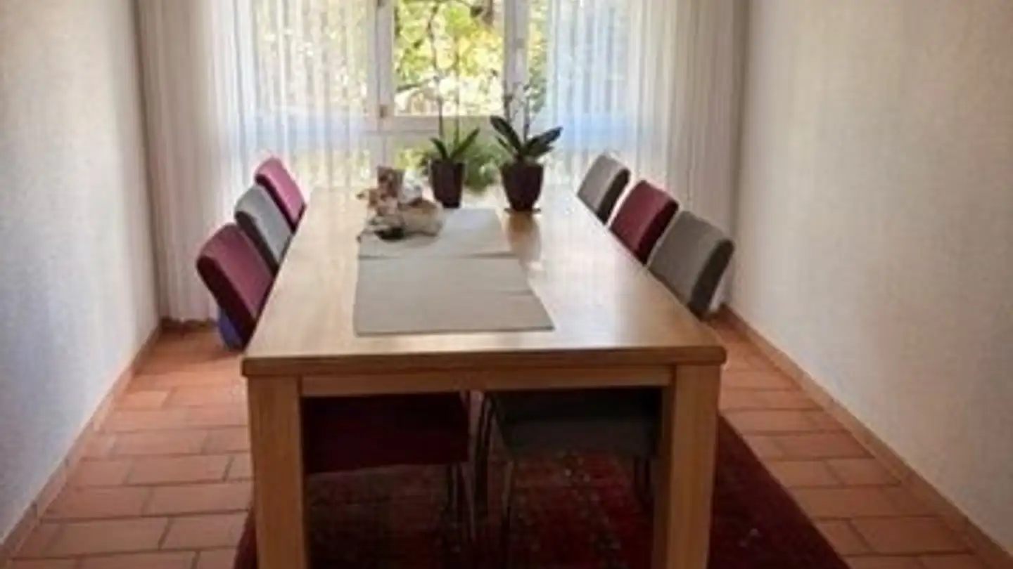 Appartamento in affitto - Bahnhofstrasse 1, 8572 Berg TG - Foto 4