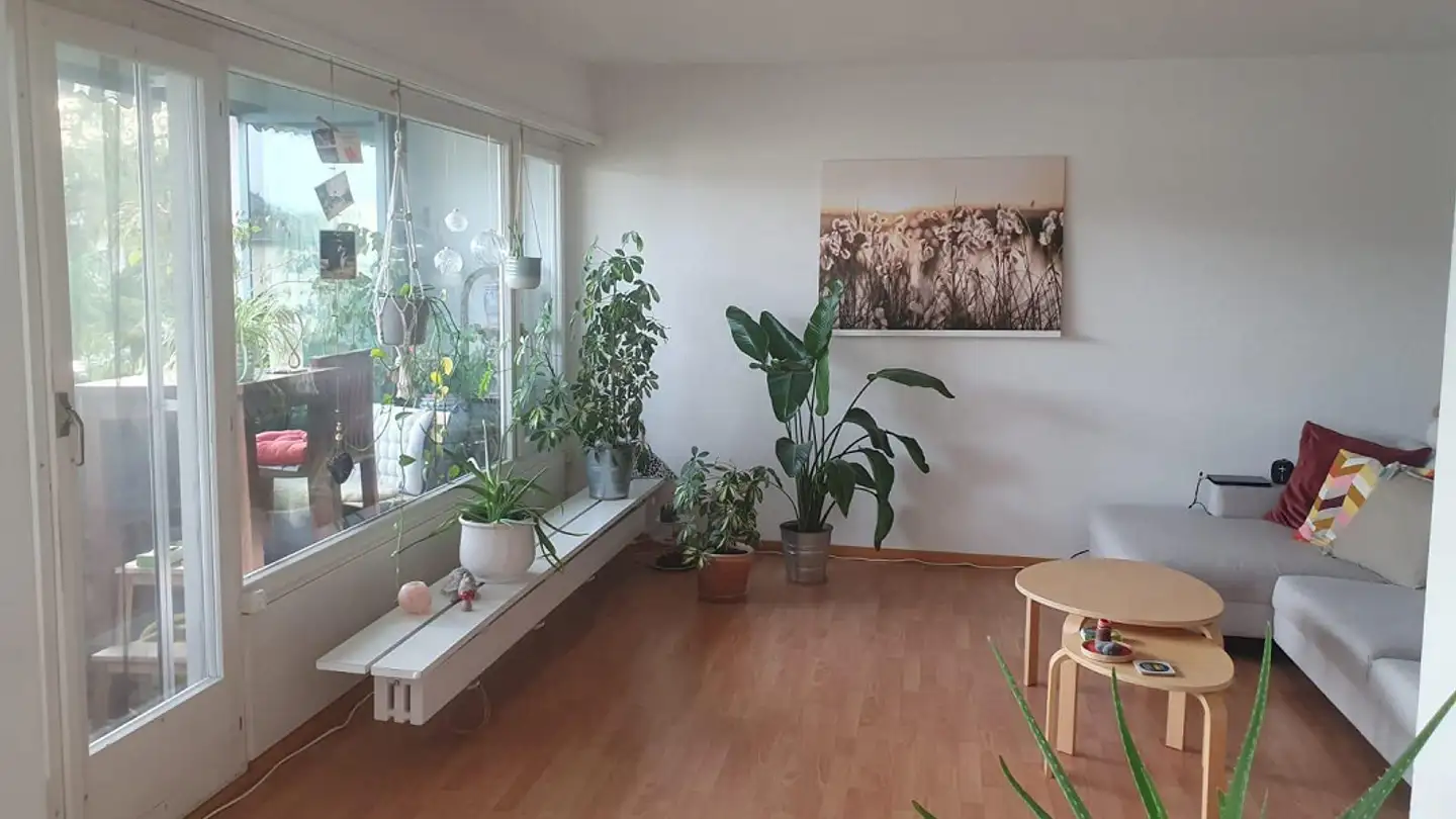 Wohnung mieten - Bachmattenstrasse 8, 5630 Muri AG