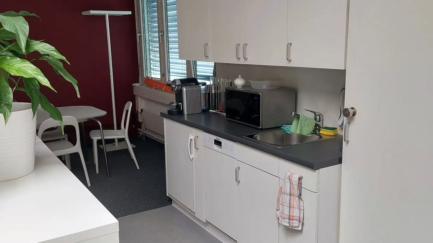 Commerciale in affitto - Mülistrasse 18, 8320 Fehraltorf - Photo 2