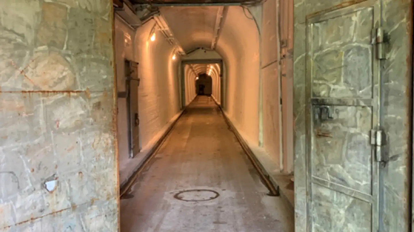 Storage space for rent - St. Margrethenbergstrasse 15, 7313 St. Margrethenberg - Photo 3