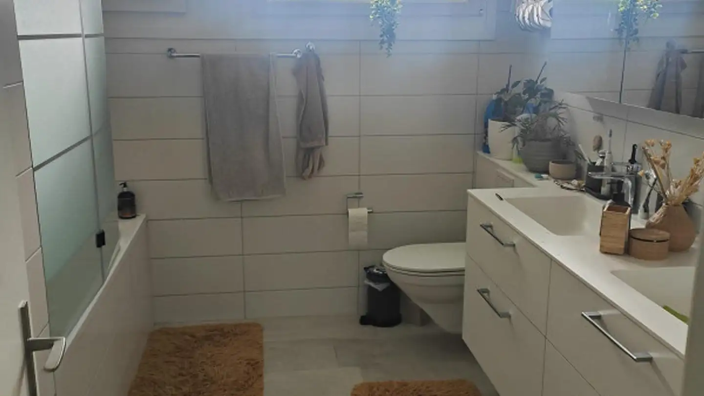 Penthouse mieten - Beim Lindenbaum, 4123 Allschwil