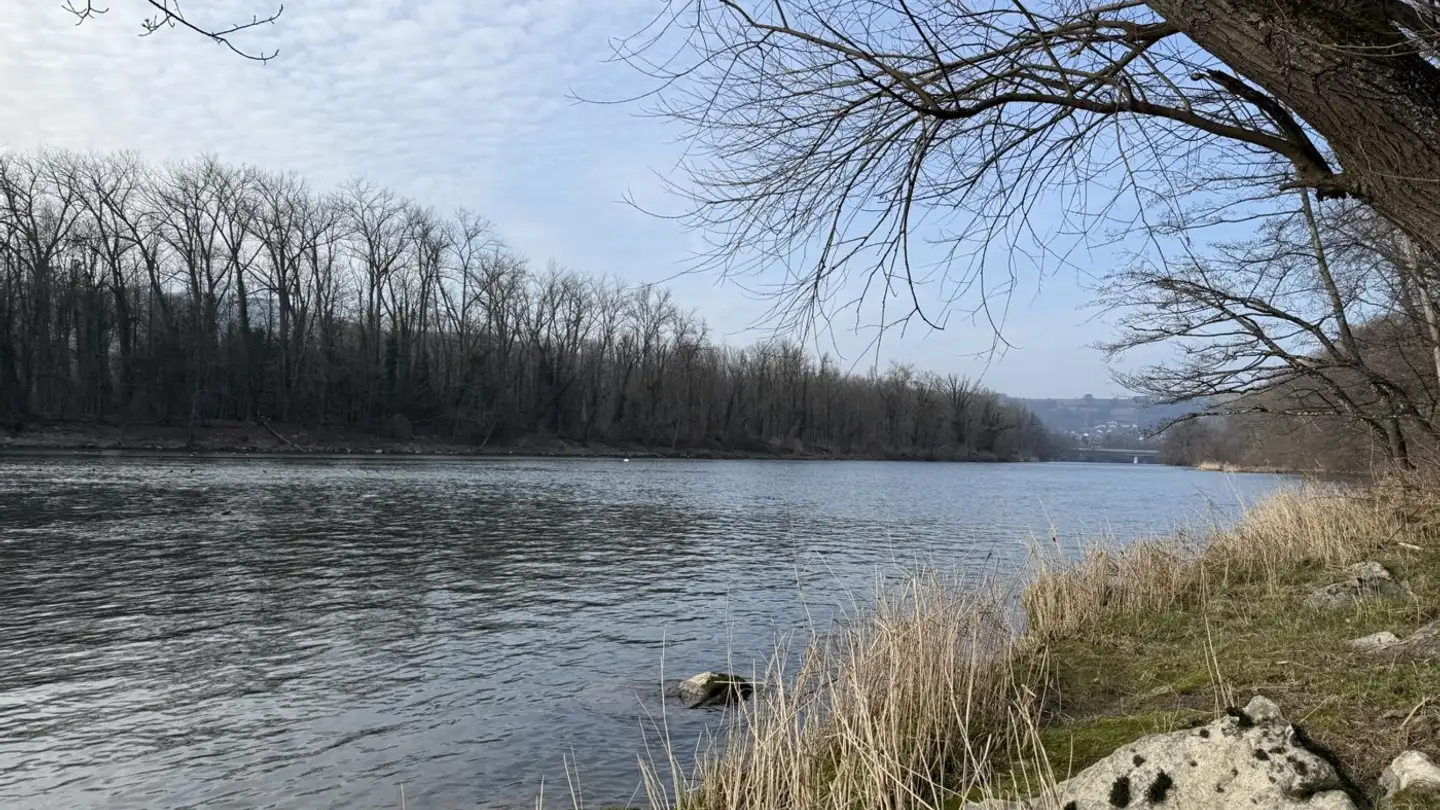 Apartment for sale - 5116 Schinznach Bad - Photo 3