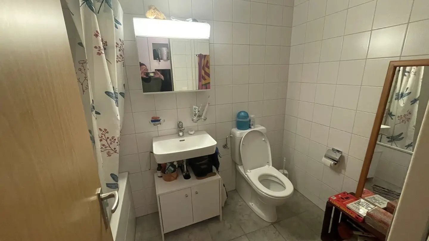 Apartment for rent - Steinbruchstrasse, 8810 Horgen - Photo 2