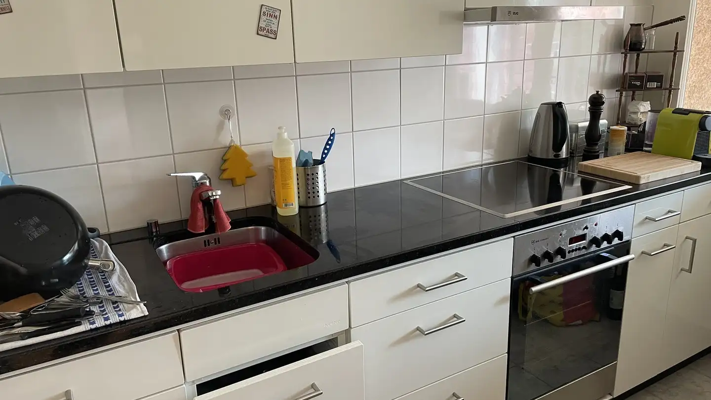 Apartment for rent - Steinbruchstrasse, 8810 Horgen - Photo 4