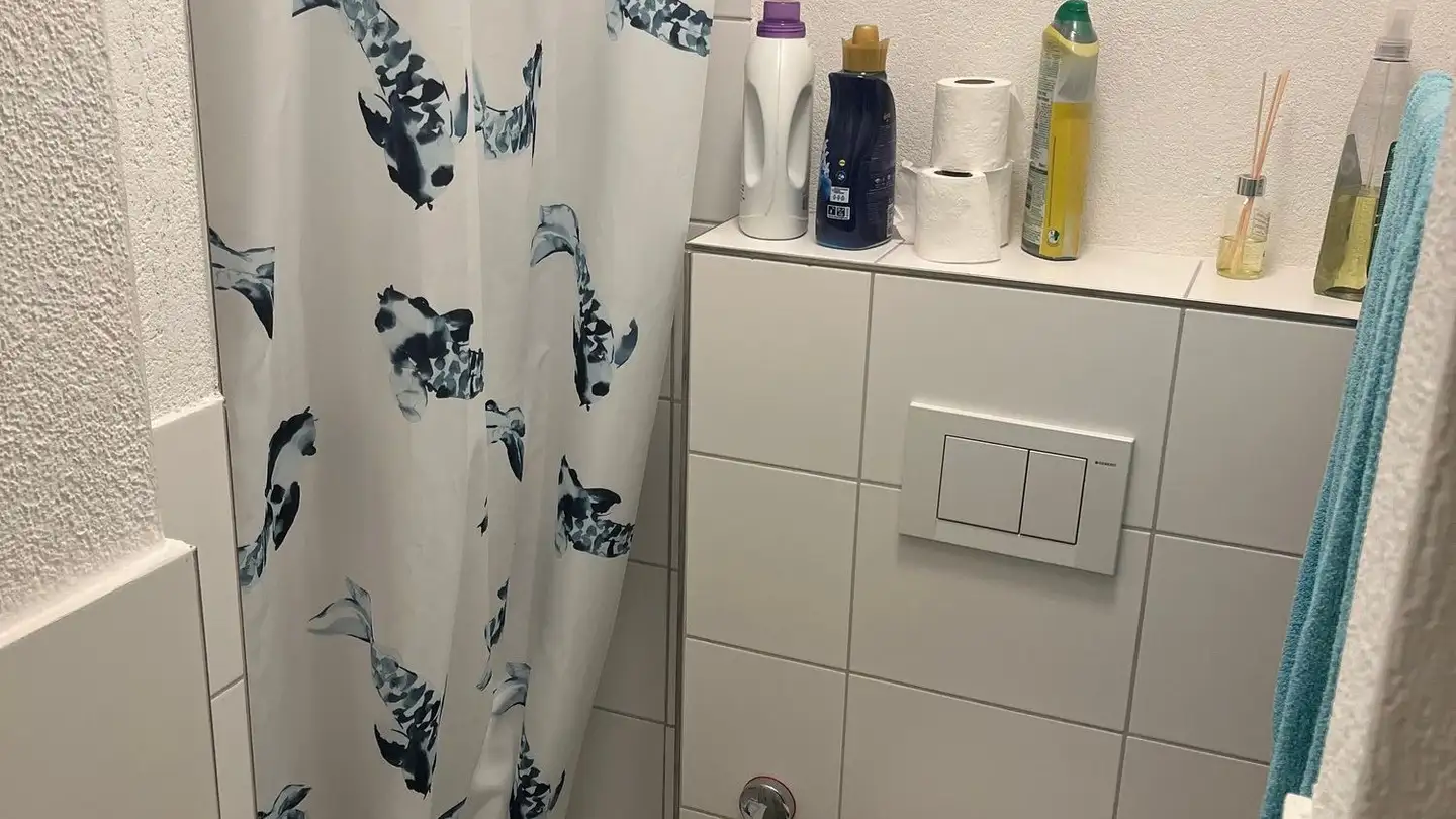 Appartement à louer - Baumackerstrasse 47, 8050 Zürich - Photo 3