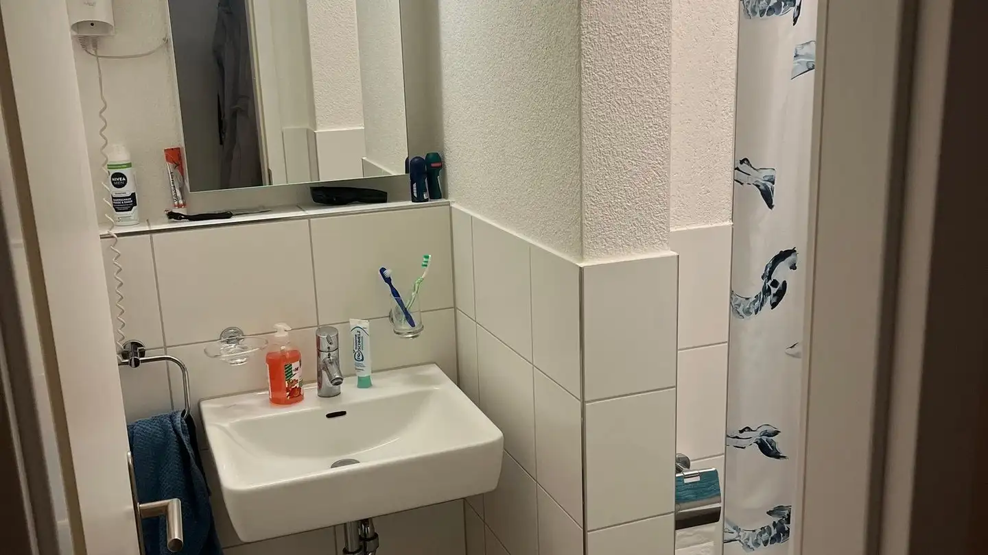 Appartement à louer - Baumackerstrasse 47, 8050 Zürich - Photo 4