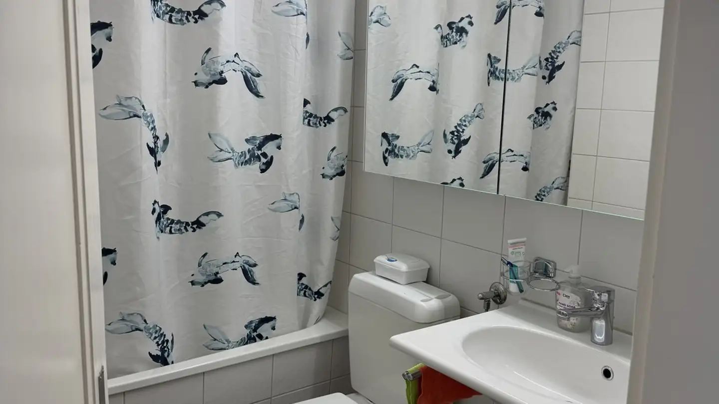 Apartment for rent - Hätschenstrasse 11, 8953 Dietikon - Photo 3
