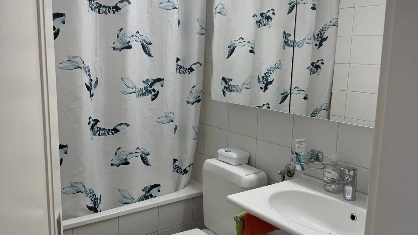 Apartment for rent - Hätschenstrasse 11, 8953 Dietikon - Photo 3