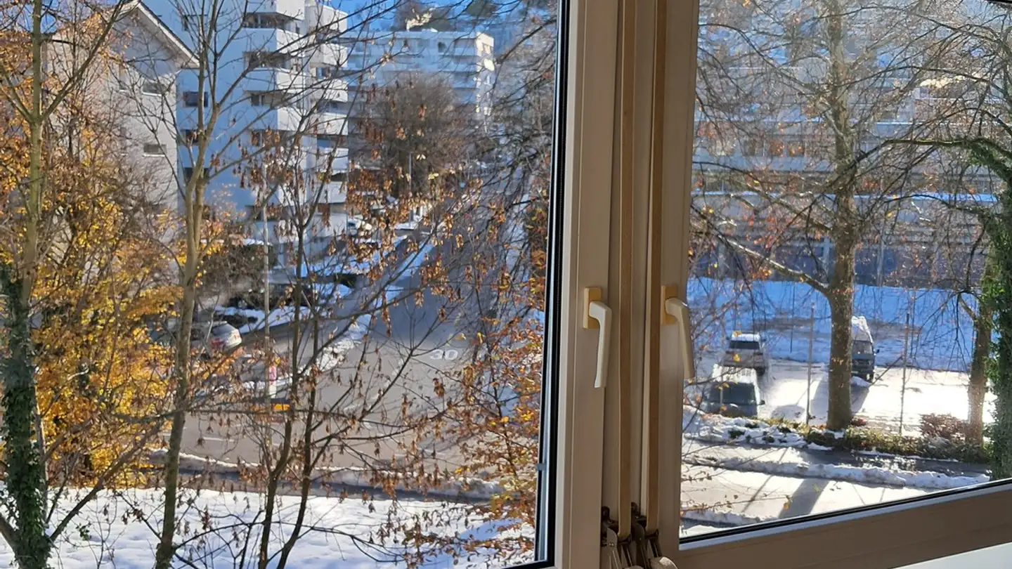 Stanza singola in affitto - 6300 Zug - Foto 4