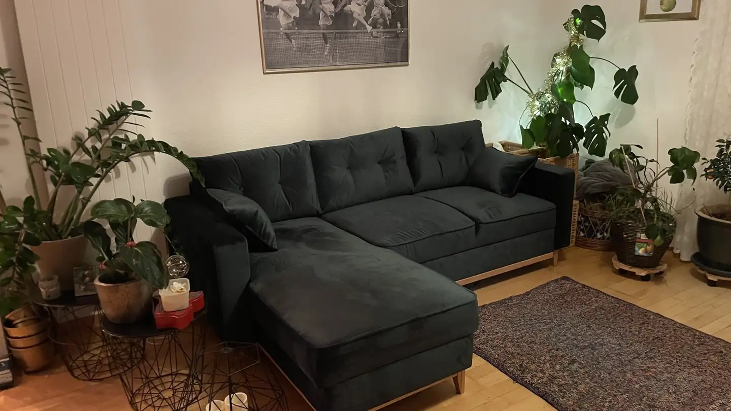 Stanza singola in affitto - 5600 Lenzburg - Photo 3