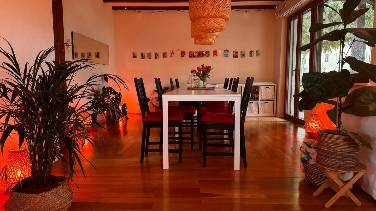 Single room for rent - 5200 Brugg AG - Photo 2
