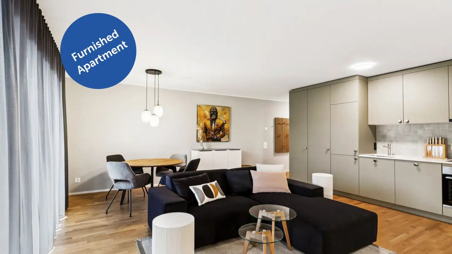 Furnished apartment for rent - 4053 Basel