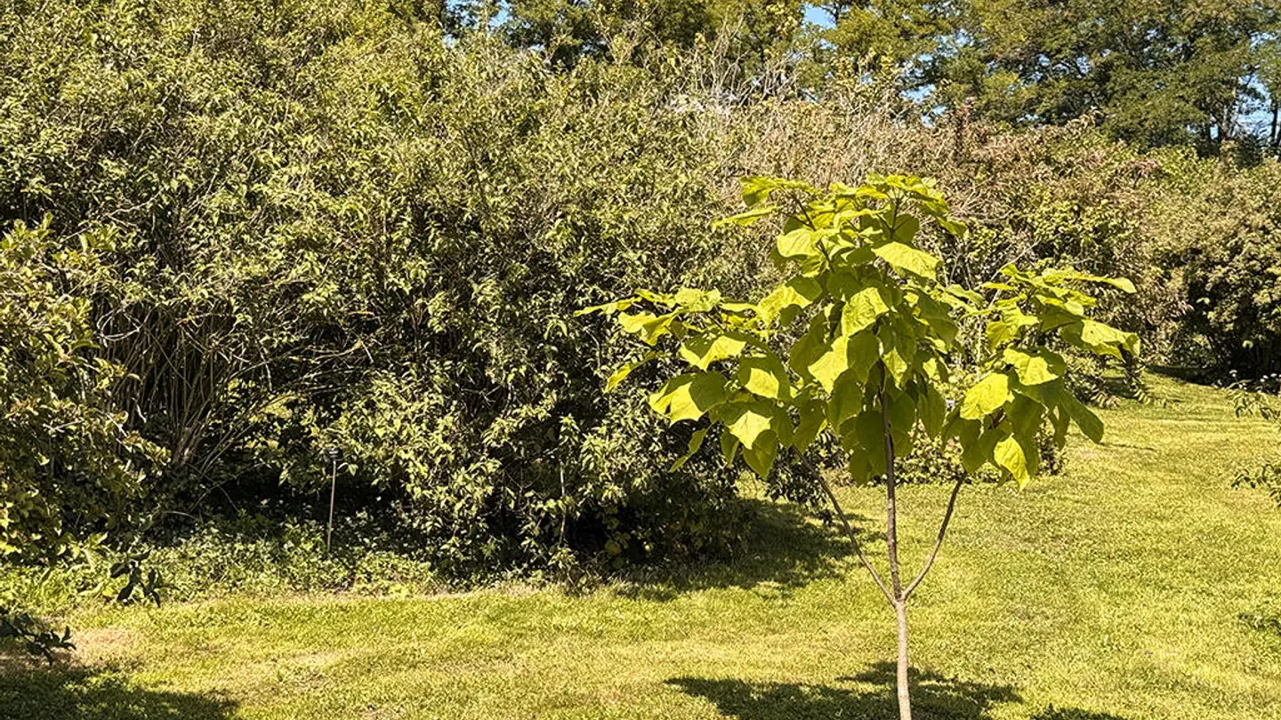 Maison individuelle à vendre - 1052 Le Mont-sur-Lausanne