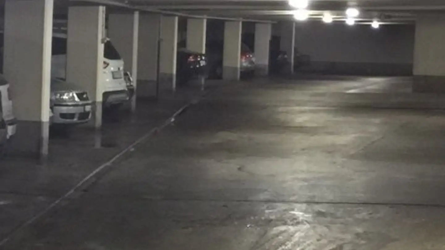 Garage singolo in affitto - Chemin Des Clochettes 8, 1206 Genève - Foto 3