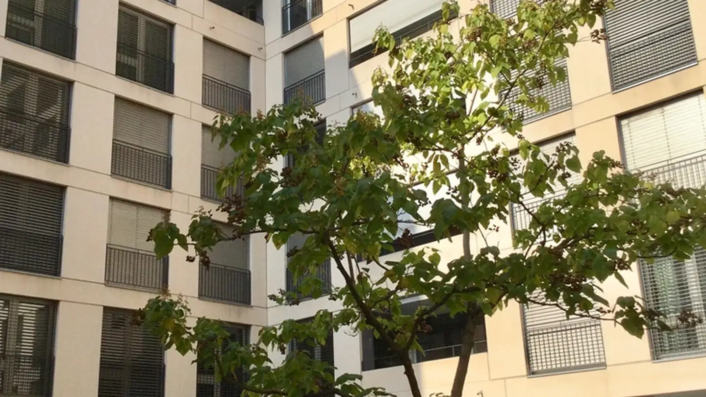 Apartment for rent - Hohlstrasse 511, 8048 Zürich - Photo 2