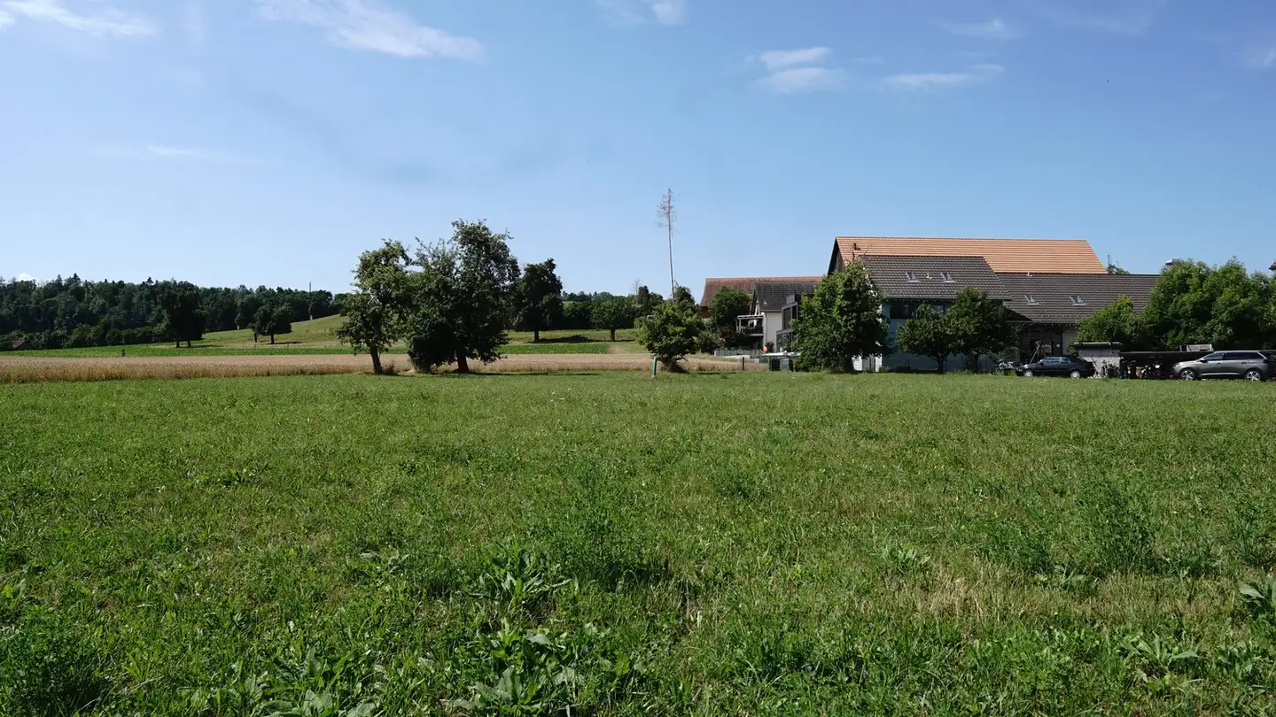 Bauland kaufen - 8468 Waltalingen