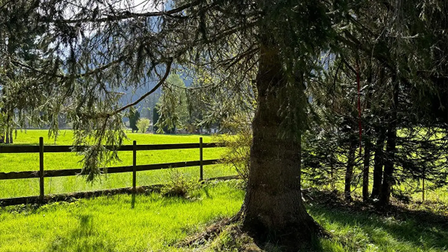 Single house for sale - 3857 Unterbach BE - Photo 3