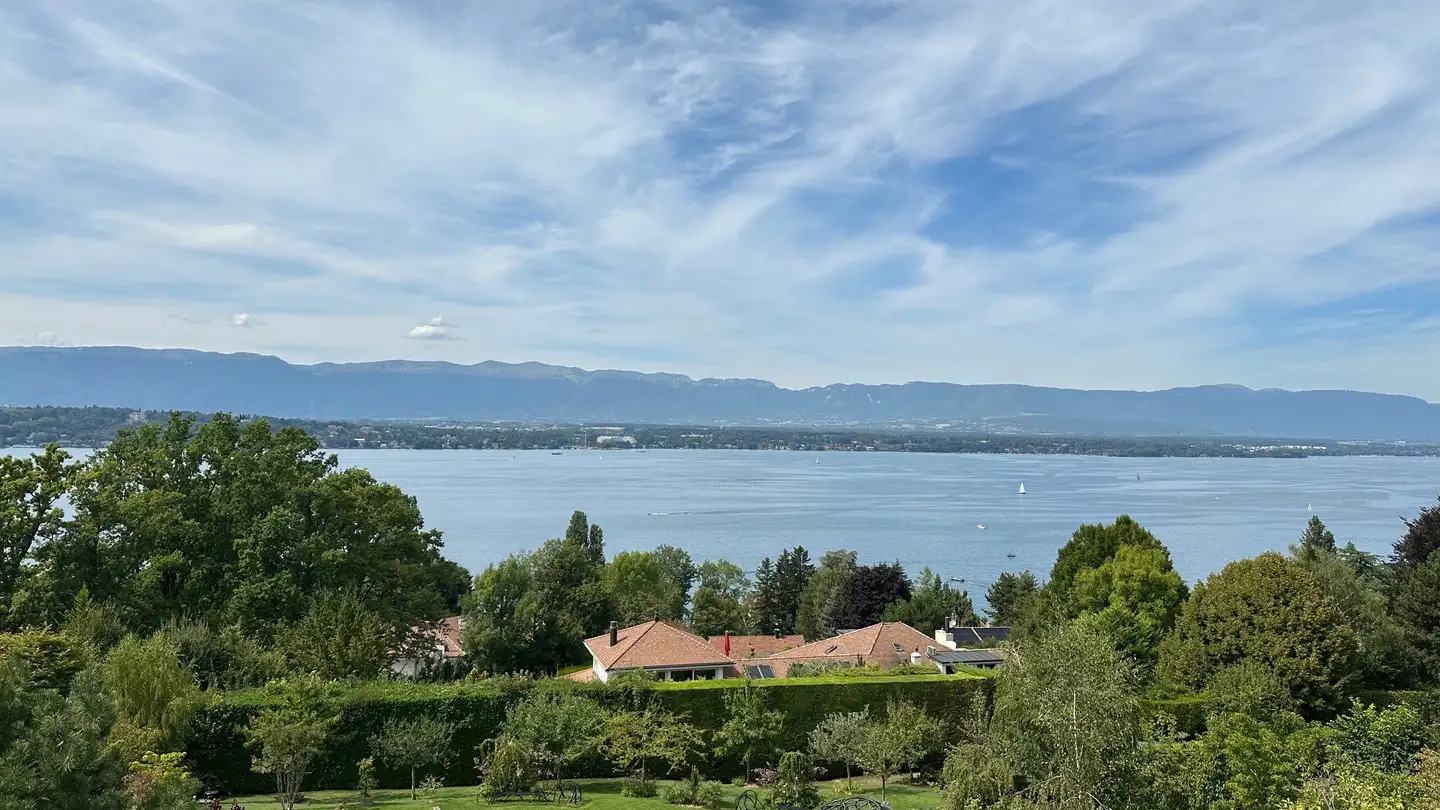 Bureau à louer - 1223 Cologny