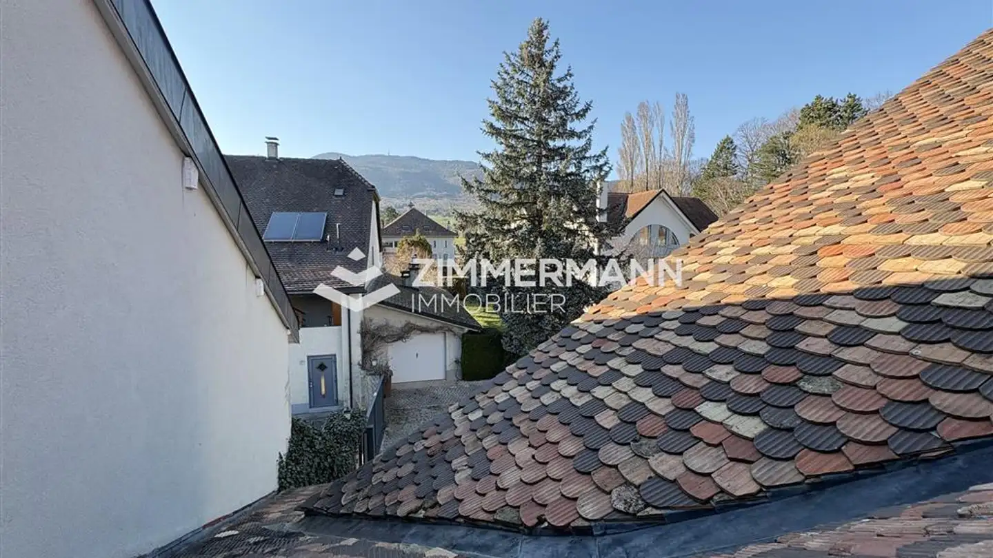 Apartment for rent - Rue Du Vieux-Collège, 1275 Chéserex - Photo 4