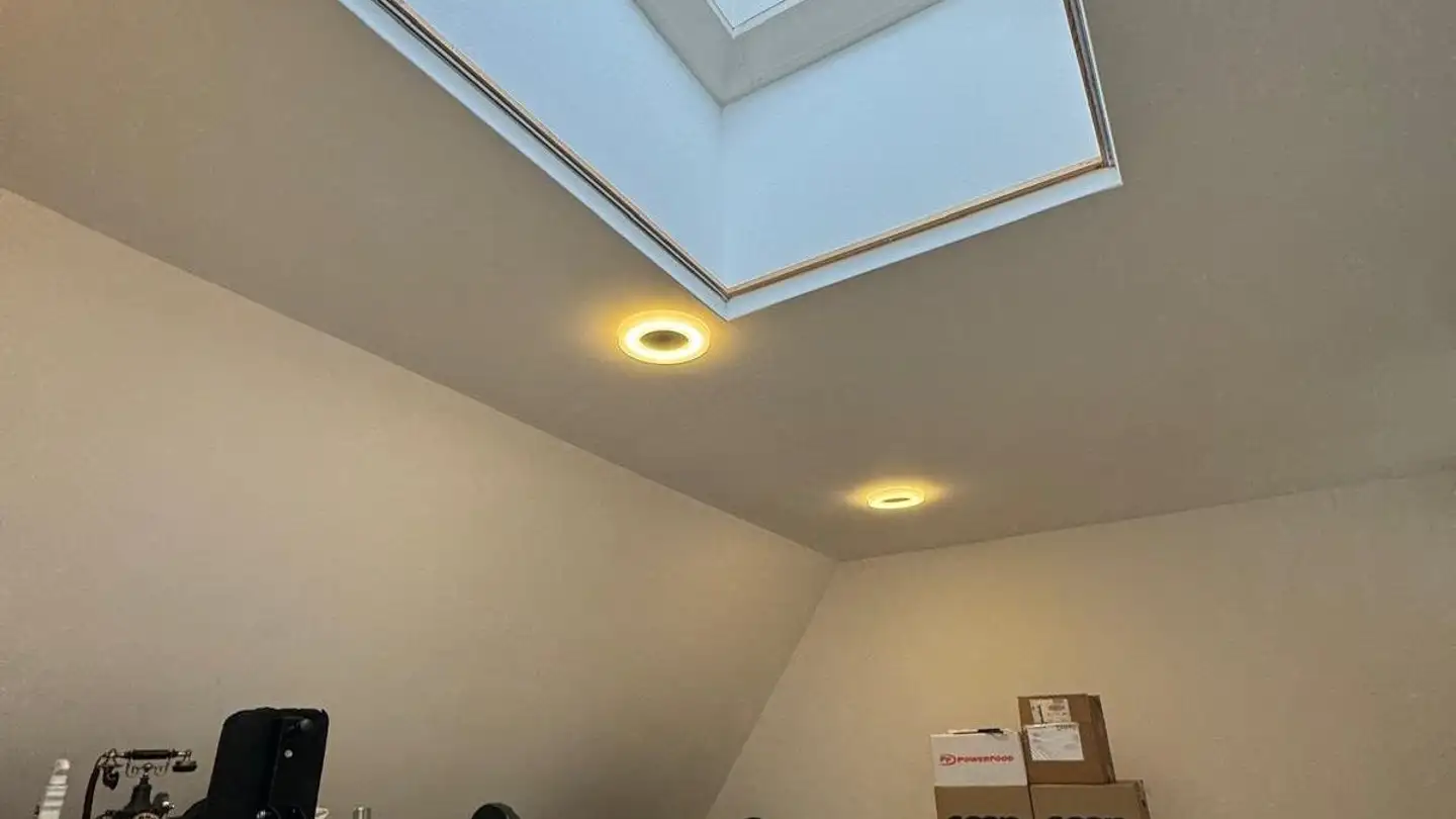 Atelier à louer - Wiesenstrasse 29, 8953 Dietikon