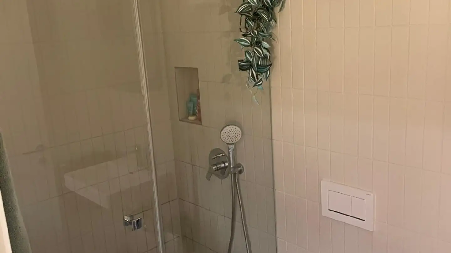 Wohnung mieten - Albisriederstrasse 17, 8003 Zürich - Foto 2