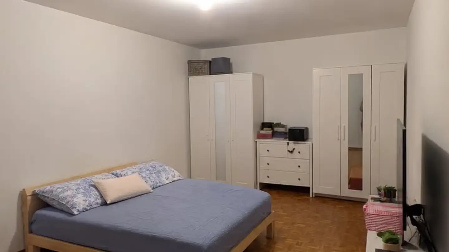 Wohnung mieten - 6533 Lumino - Foto 3