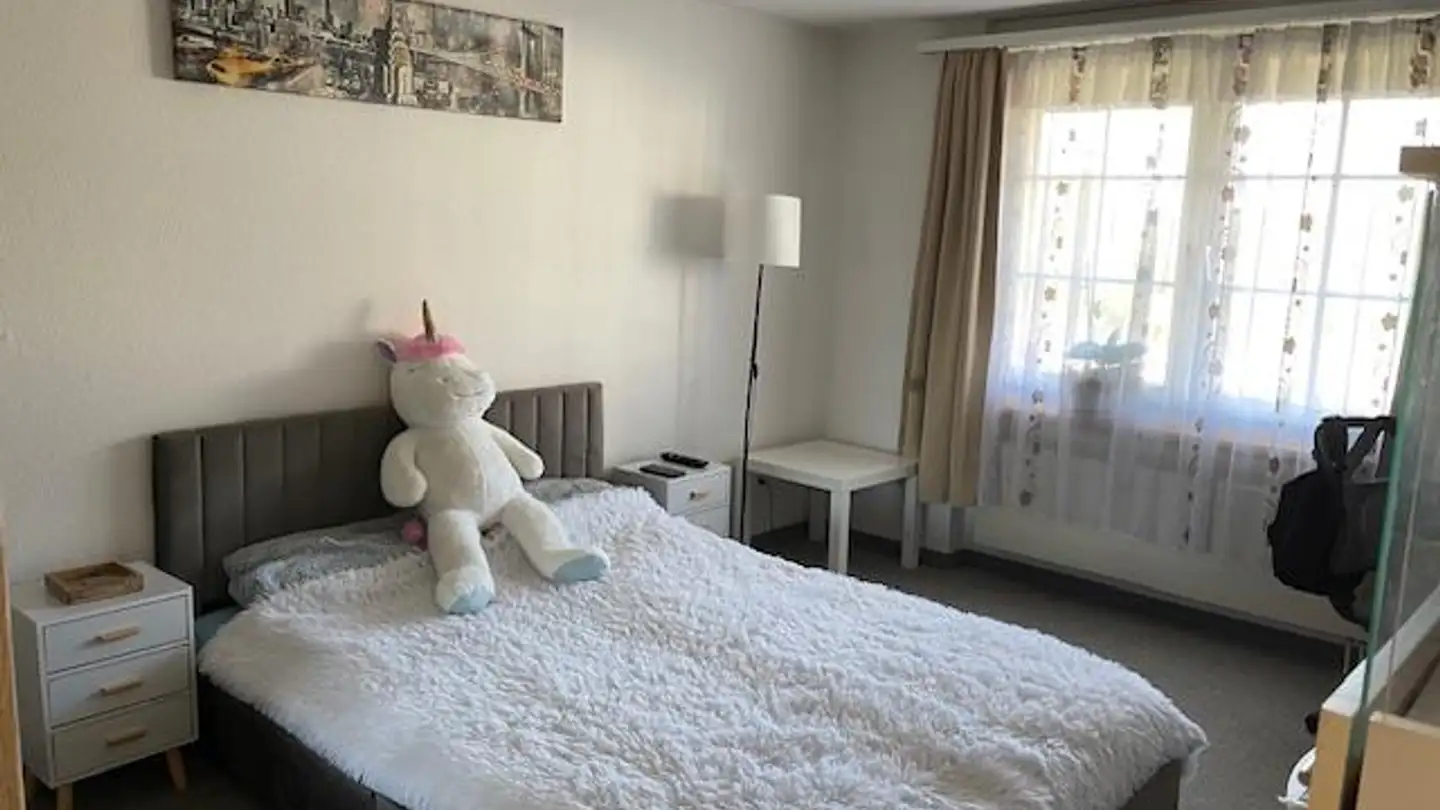 Appartamento in affitto - Wilerstrasse 8, 8514 Amlikon-Bissegg - Photo 3