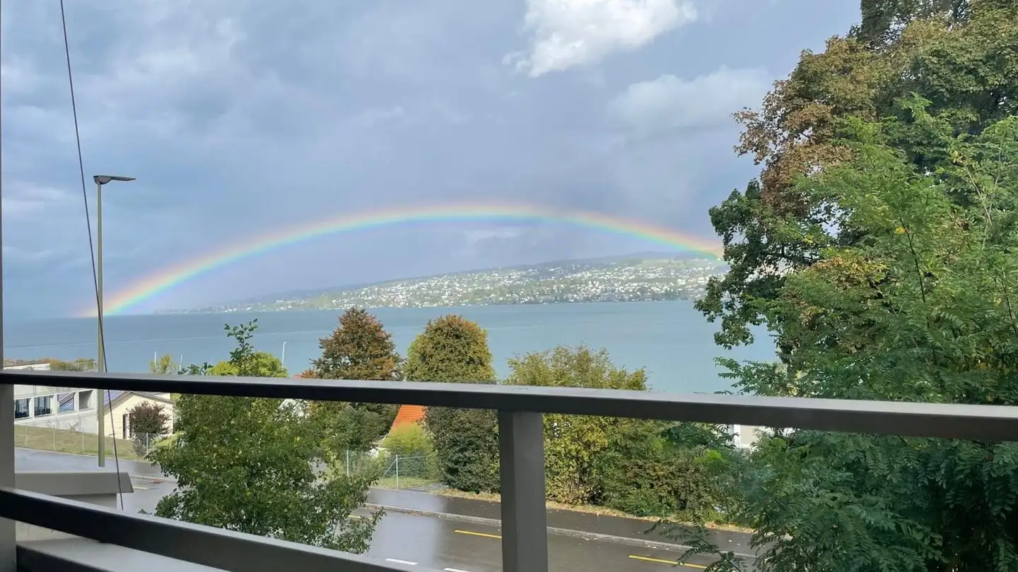 Stanza singola in affitto - 8810 Horgen - Foto 2