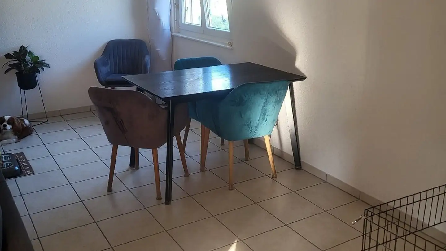 Wohnung mieten - Chemin Des Mélèzes 6, 1475 Montbrelloz