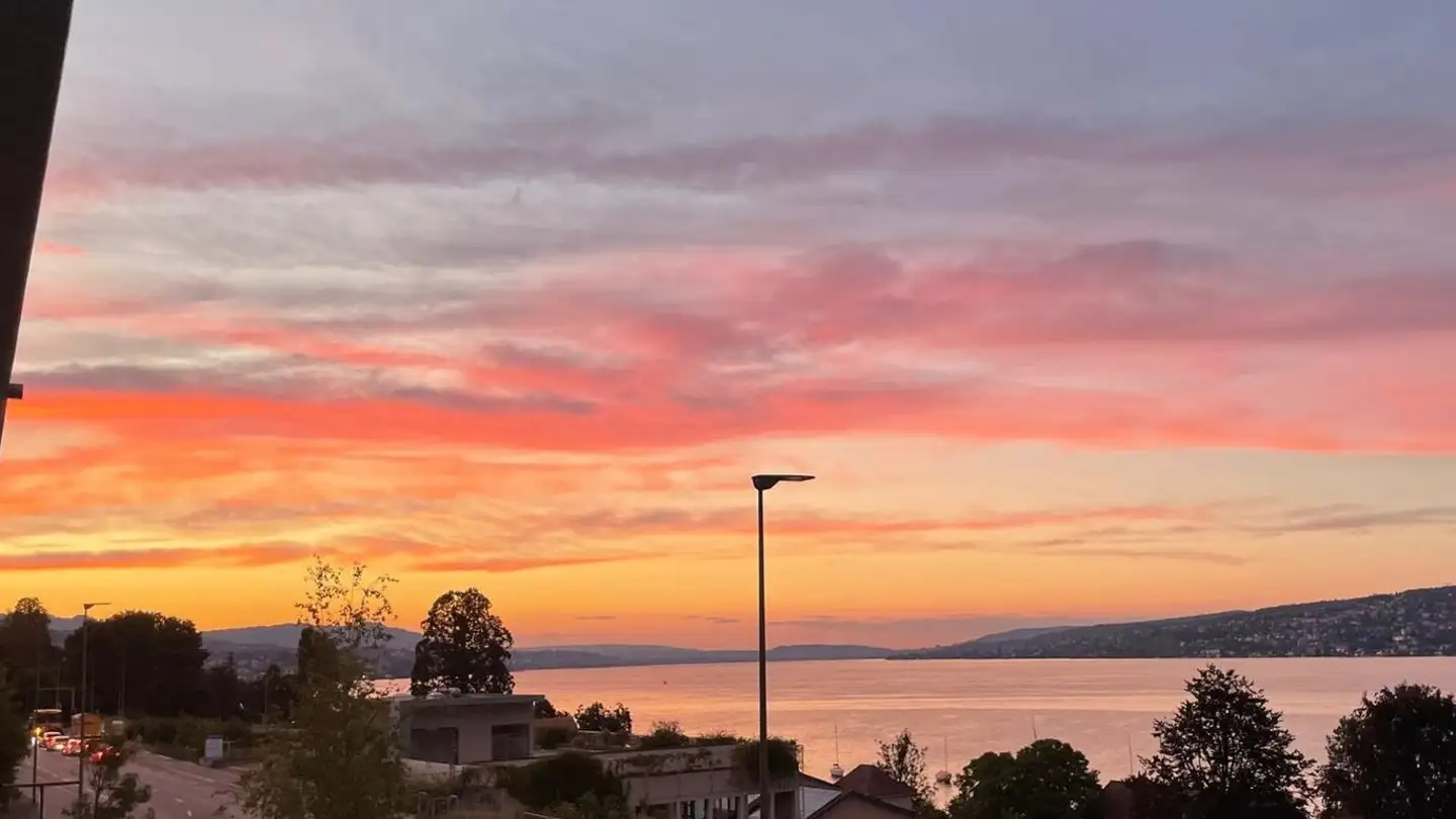 Stanza singola in affitto - 8810 Horgen - Foto 3