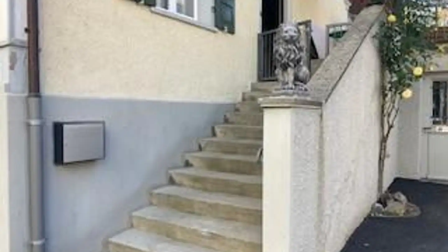 Maison individuelle à vendre - Metzgergasse 6, 9320 Arbon - Photo 4