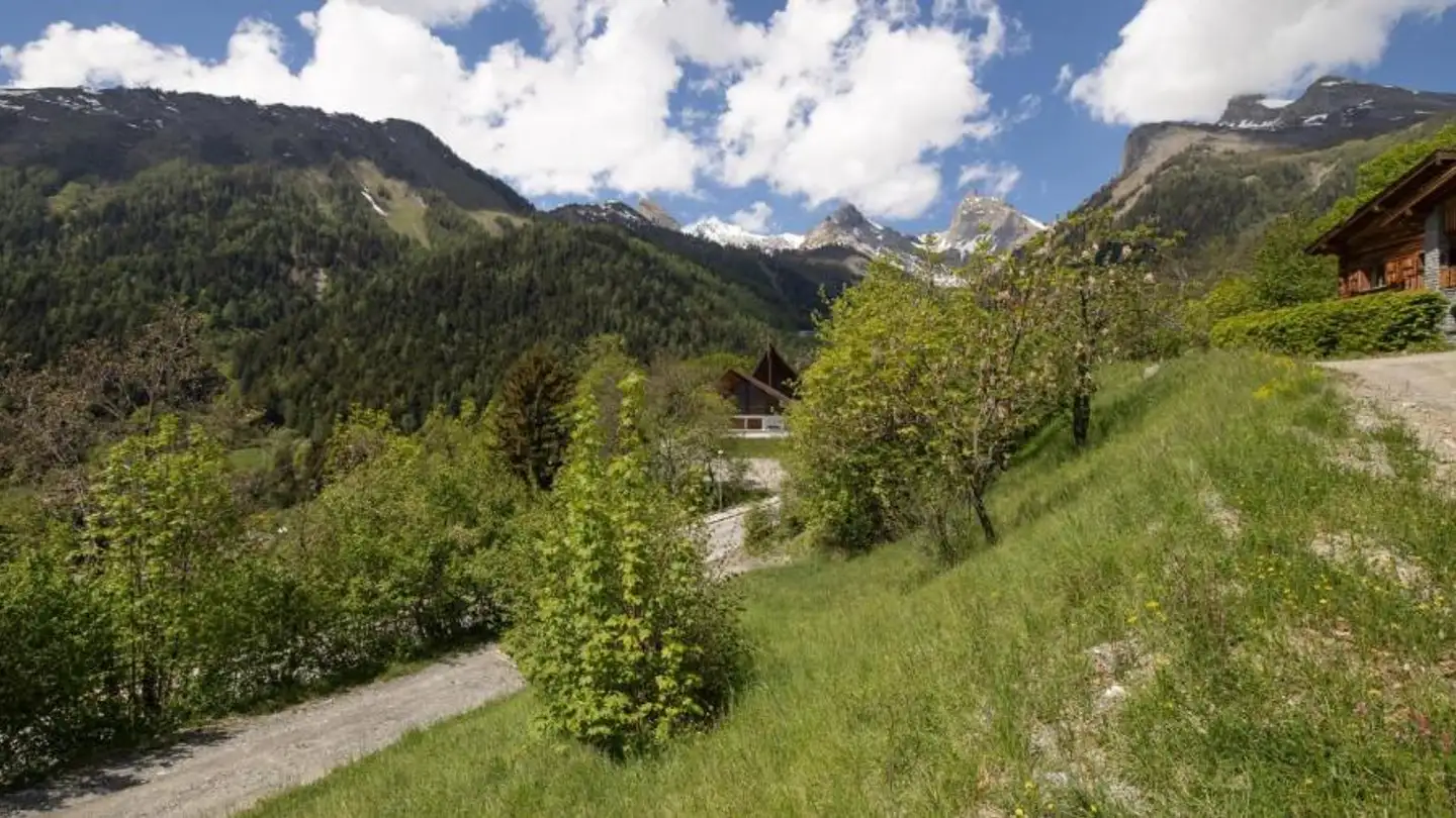 Terrain constructible à vendre - Route Des Bains 83, 1911 Ovronnaz - Photo 3