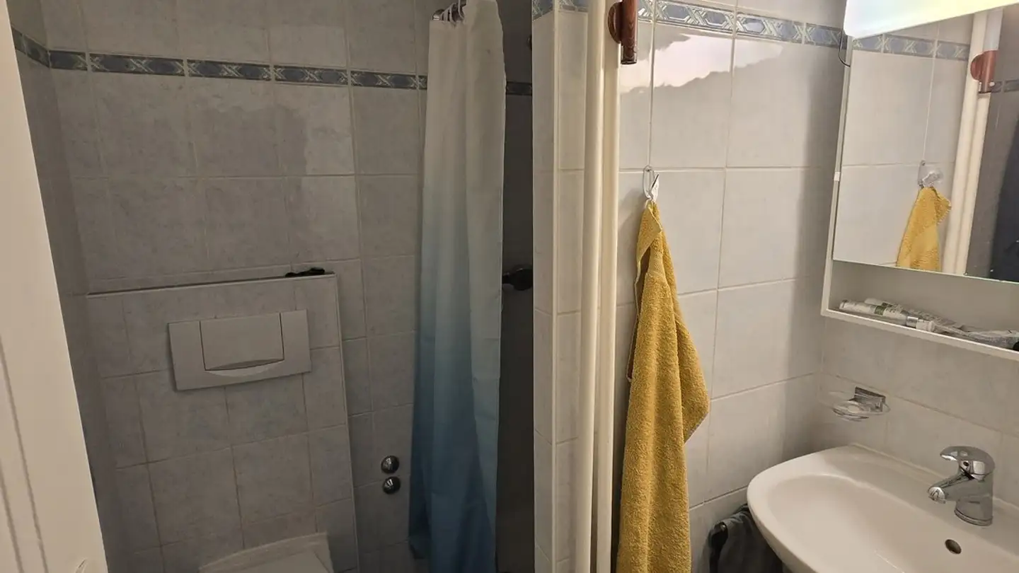 Apartment for rent - Rue Du Contrat-Social 10, 1203 Genève - Photo 3