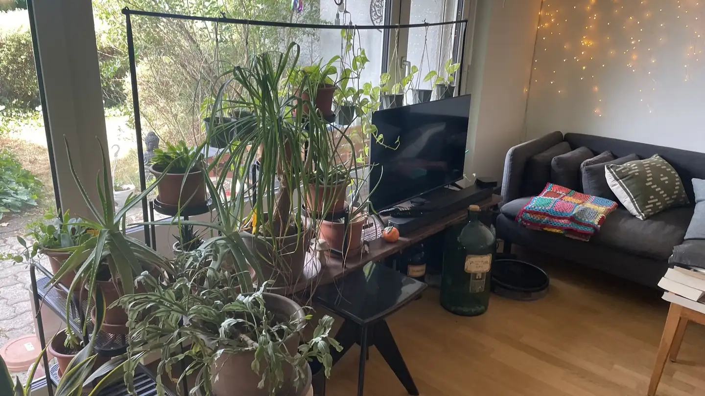 Furnished apartment for rent - 8049 Zürich - Photo 2