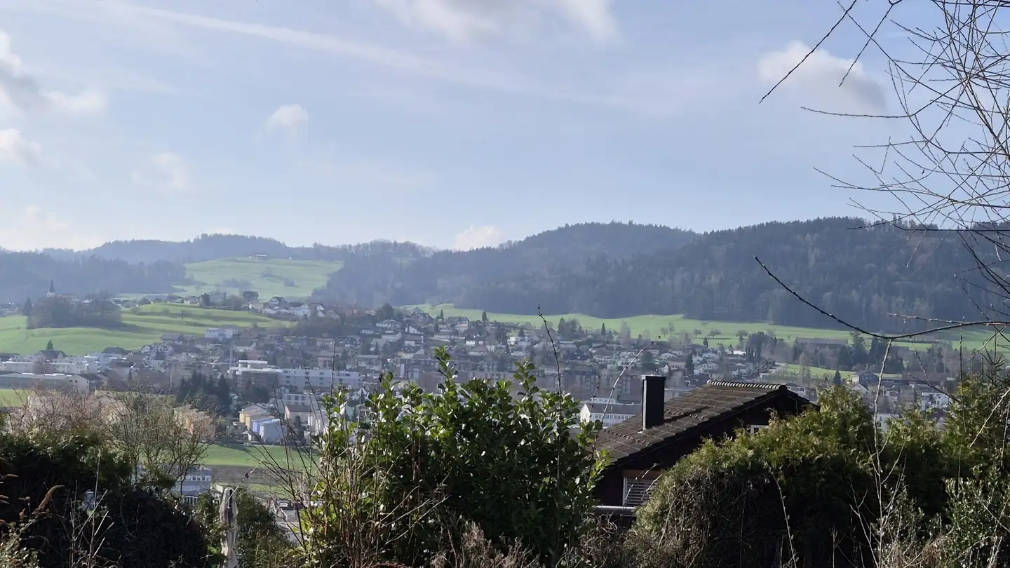 Terreno edificabile in vendita - Freudenbergweg, 9240 Uzwil - Photo 2