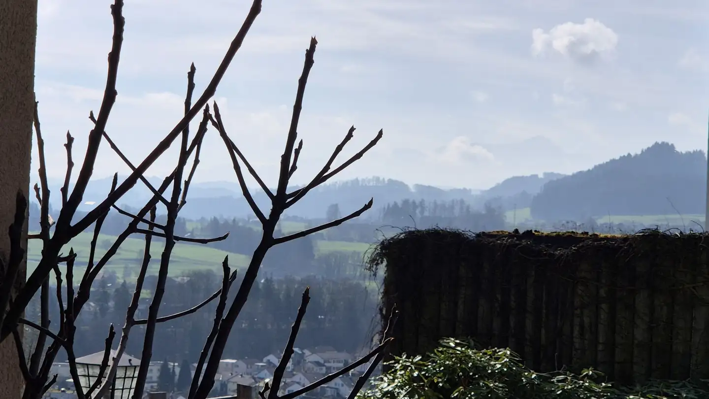 Terreno edificabile in vendita - Freudenbergweg, 9240 Uzwil - Photo 3