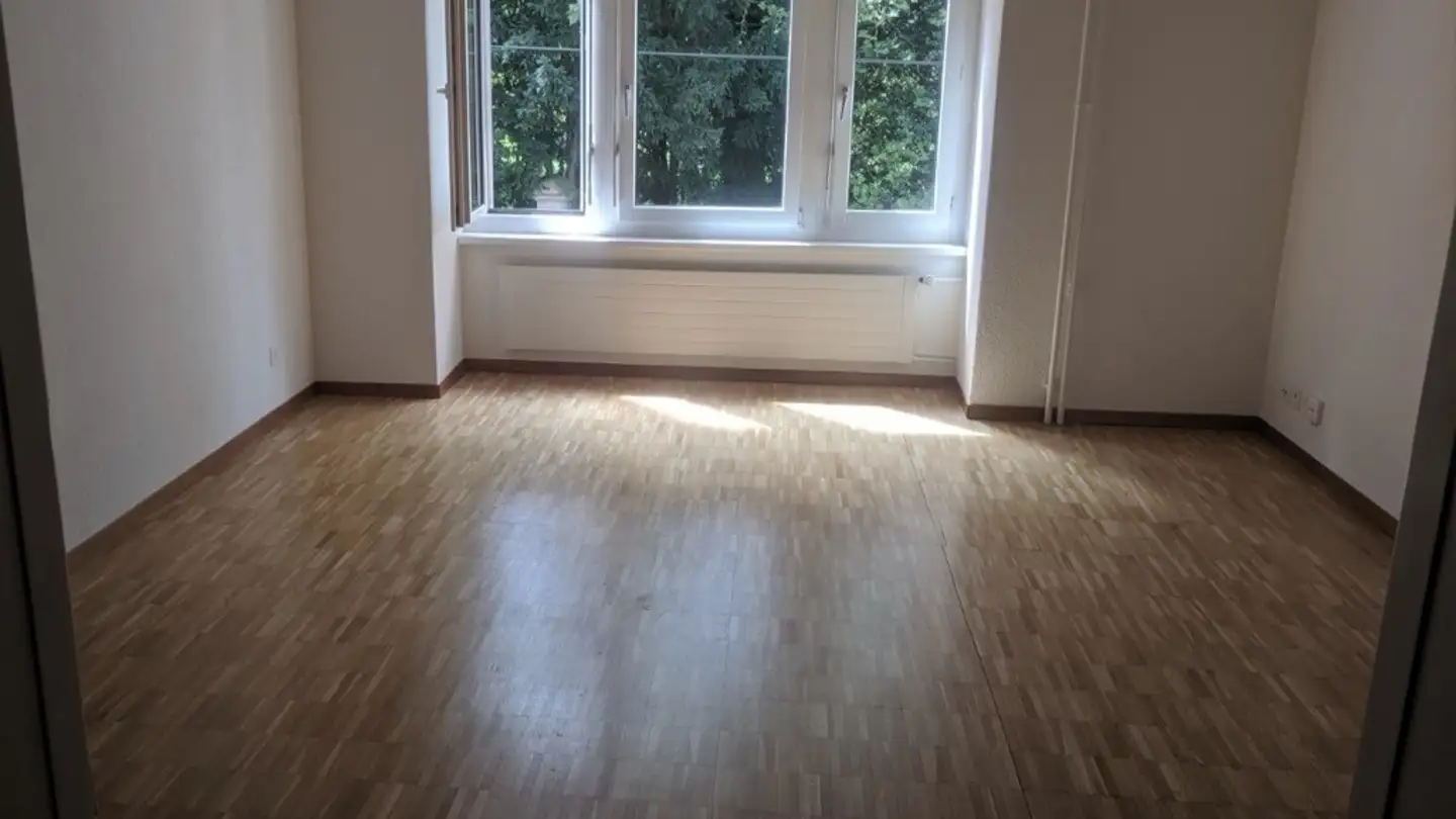 Chambre à louer - Hardaustrasse 23, 8003 Zürich