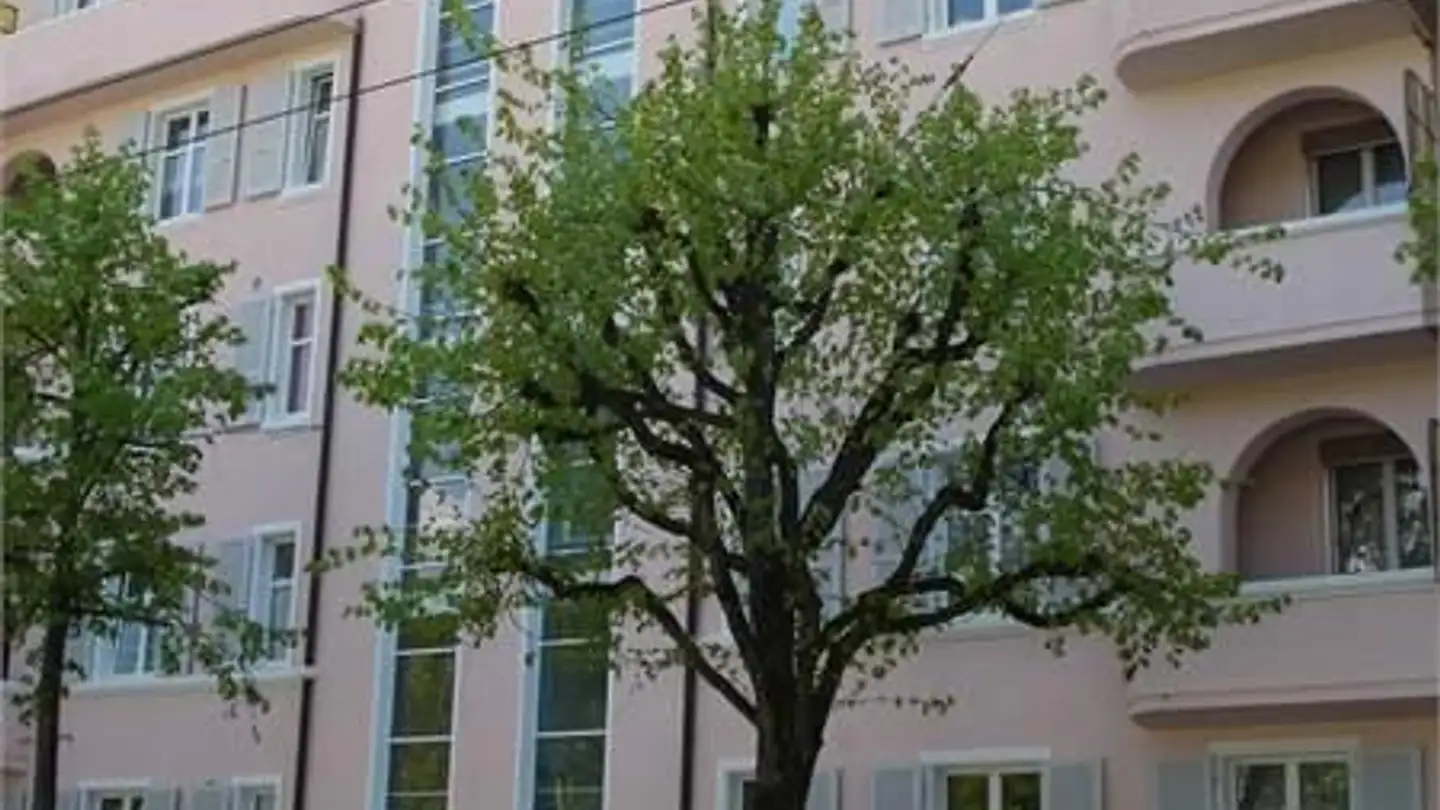 Appartamento in affitto - Rue Du Général-Dufour / General-Dufour-Strasse 160, 2502 Biel/Bienne