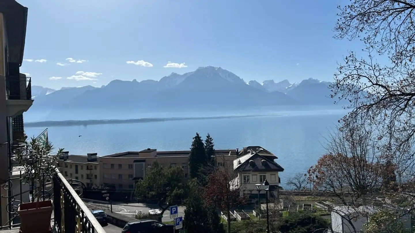 Residential building for sale - 1820 Veytaux - Photo 4