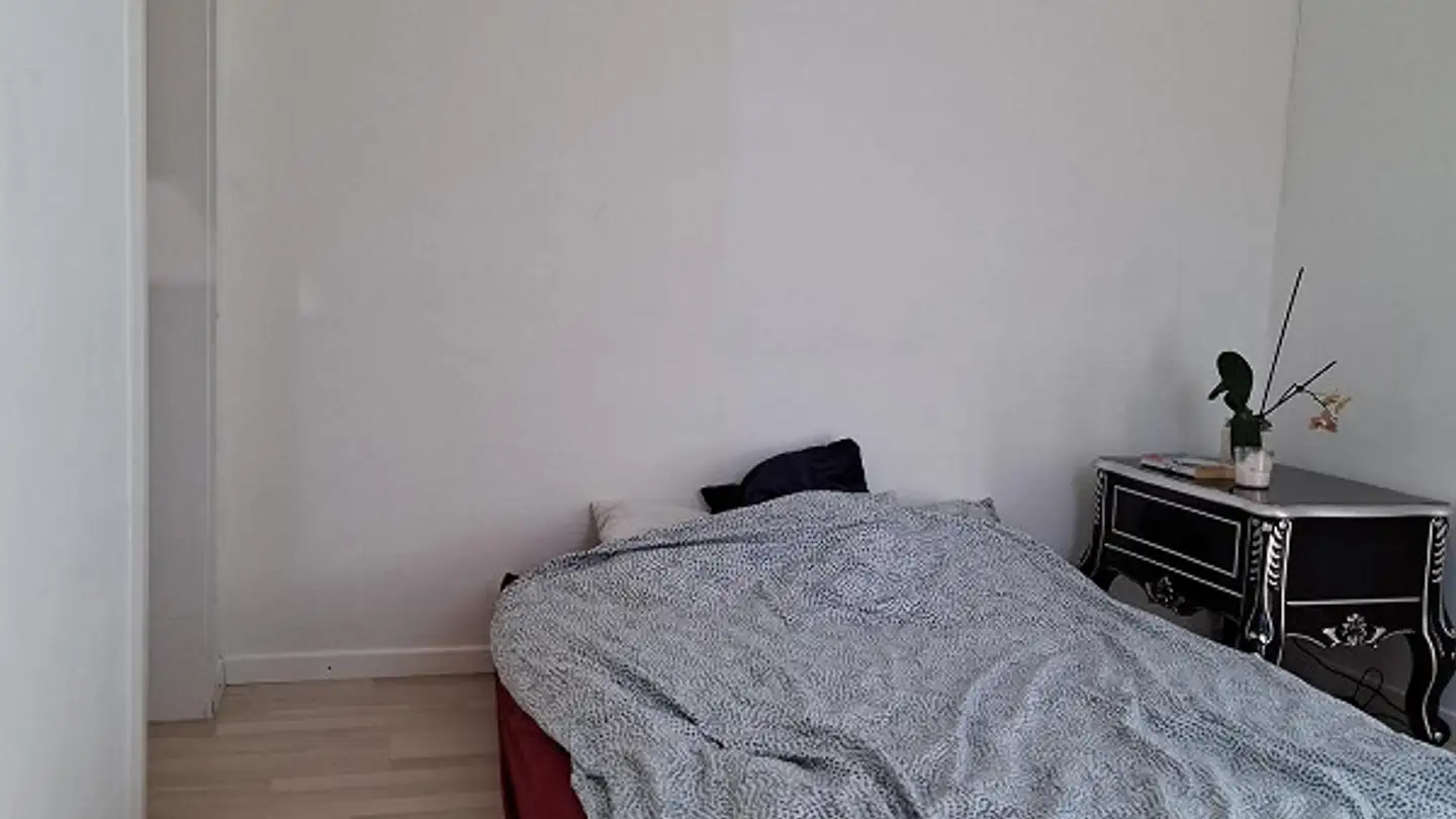 Appartamento in affitto - Schwanenstrasse 4, 9000 St. Gallen - Foto 4