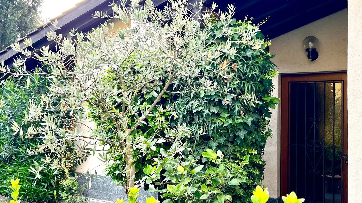 Single house for sale - Via Ciusaretta 10a, 6933 Muzzano - Photo 3