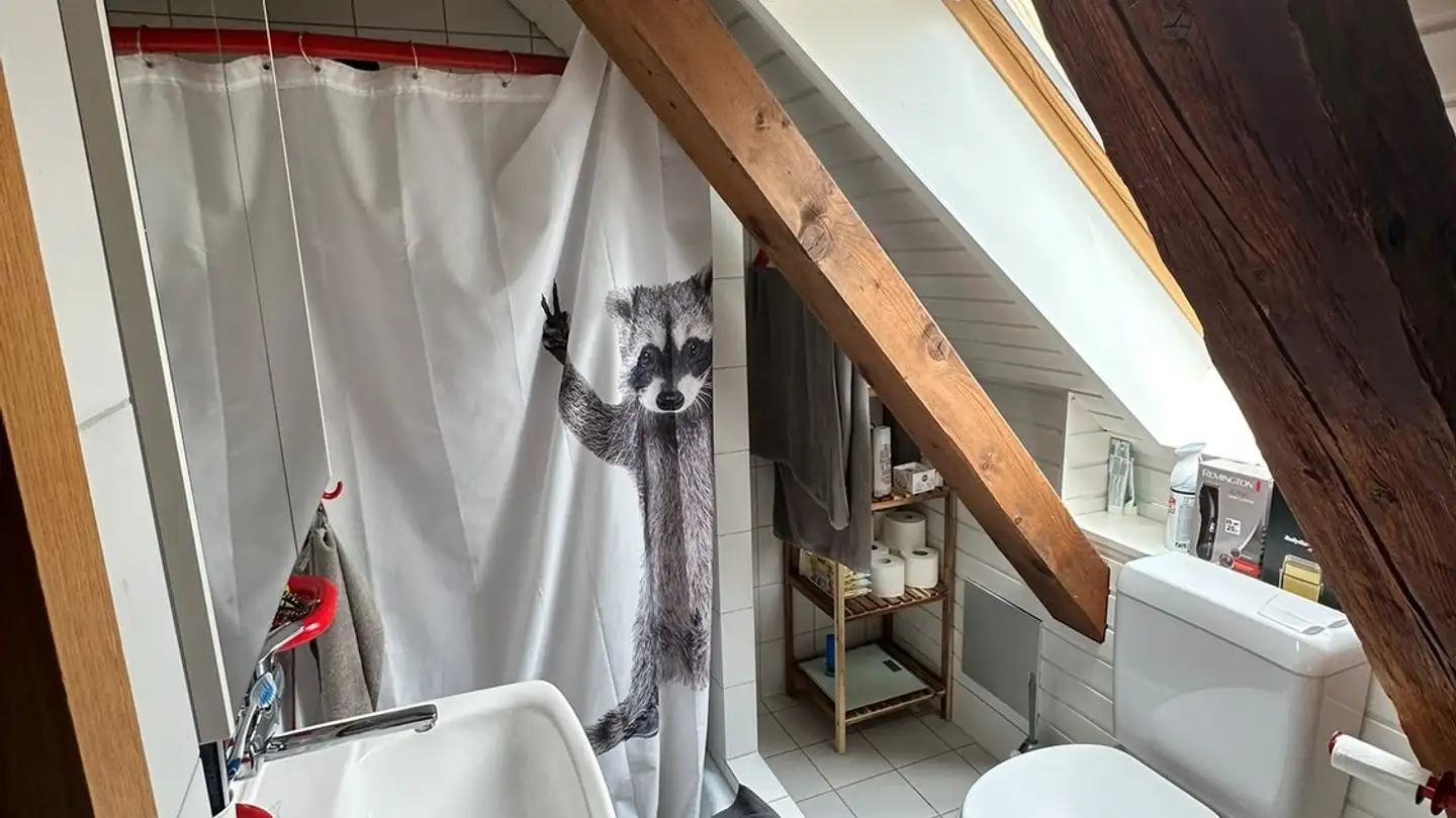 Appartamento in affitto - Römerweg 2, 5018 Erlinsbach - Foto 2