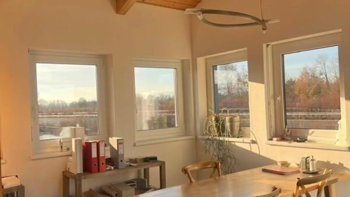 Commercial à louer - Impasse De La Plaine 8, 1580 Avenches - Photo 4