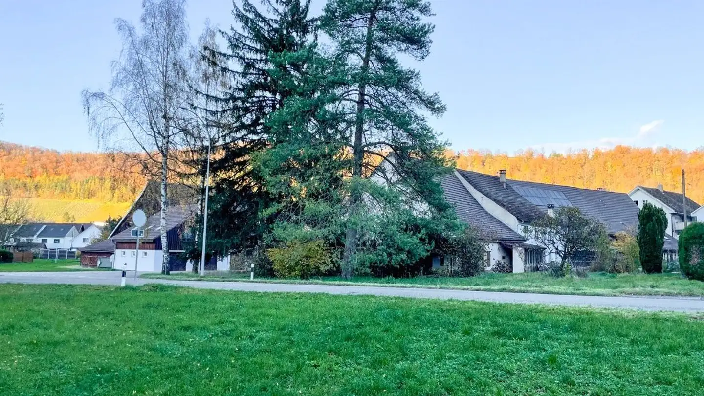 Constructible plot for sale - 5075 Hornussen