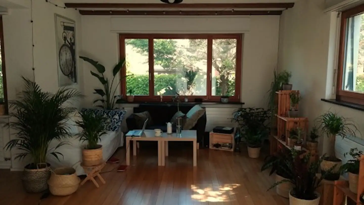 Stanza singola in affitto - 5200 Brugg AG - Foto 4