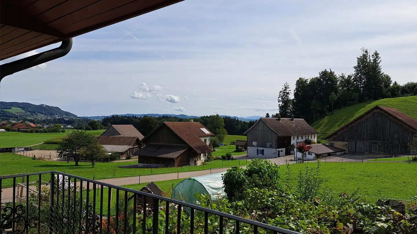 Appartement à louer - Huzenwilerstrasse 12, 8522 Häuslenen - Photo 2