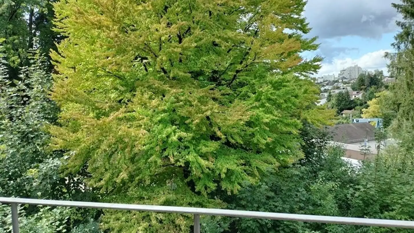 Wohnung mieten - Im Roggebode 17, 5400 Baden - Foto 4