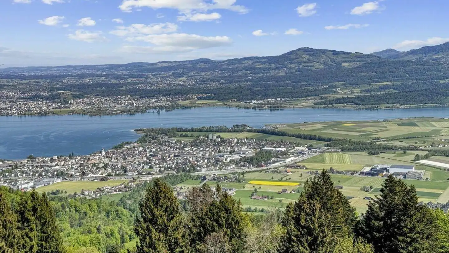 Single house for sale - Grabeneggstrasse 15, 8854 Galgenen - Photo 2