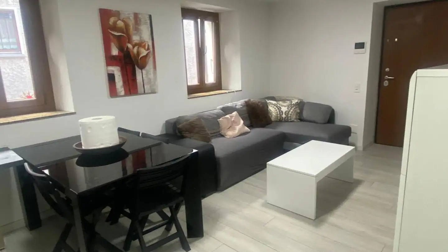 Apartment for sale - 6804 Bironico - Photo 3